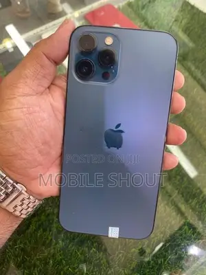 Apple iPhone 12 Pro Max (Used)