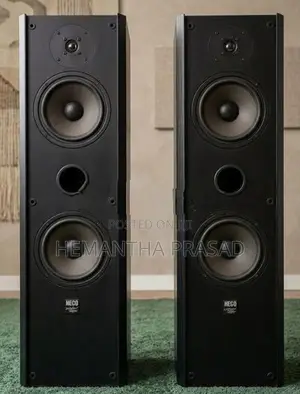 Tower Speaker