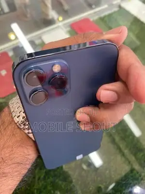 Apple iPhone 12 Pro Max (Used)