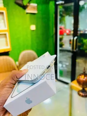 Apple iPhone 15 256GB (Used)