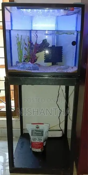 Fish Tank Full Set