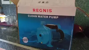 Singer Water Pump