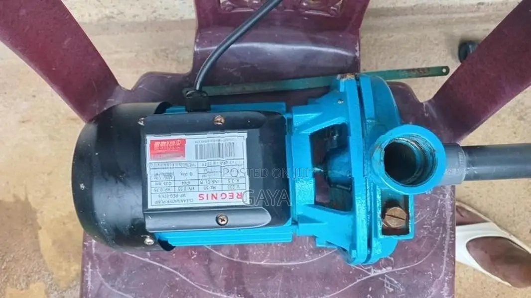 Singer Water Pump