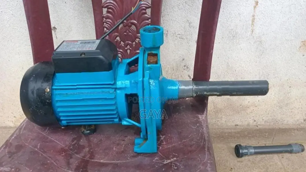 Singer Water Pump