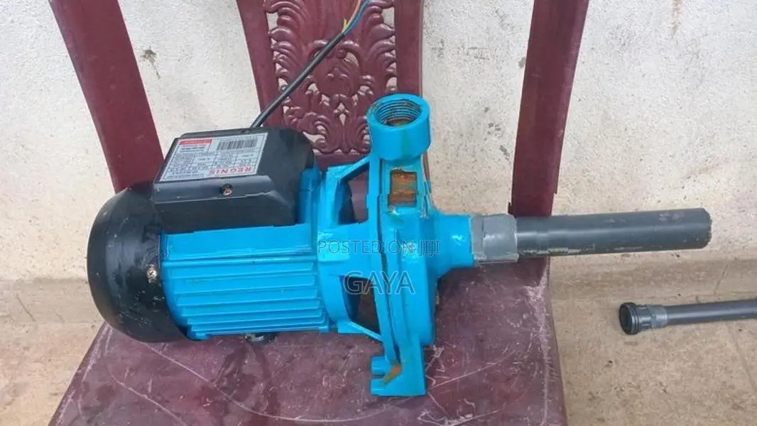 Singer Water Pump