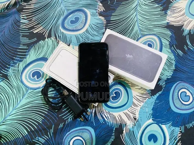 Apple iPhone 11 (Used)