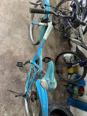 Bridgestone bicycle Japan