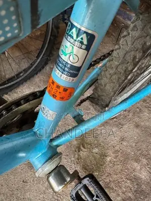 Bridgestone bicycle Japan