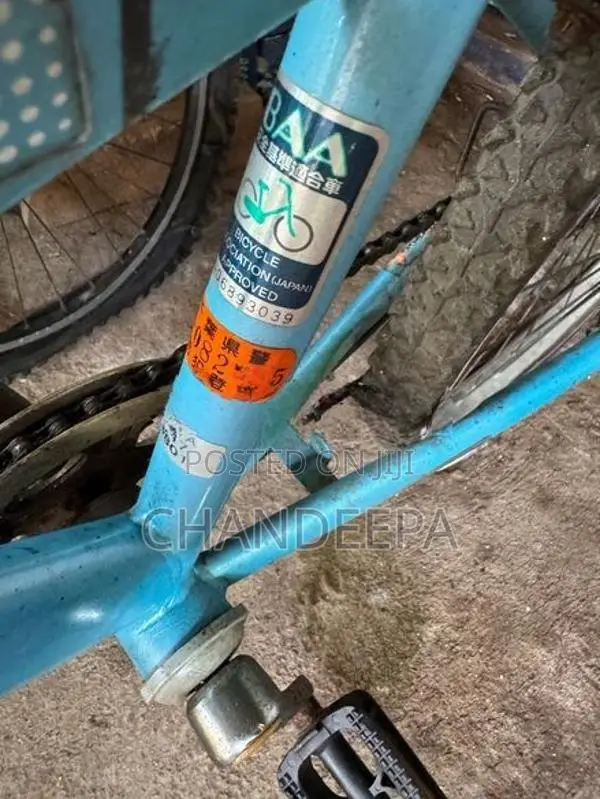 Bridgestone bicycle Japan