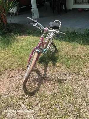 Ladies Japan Bicycle