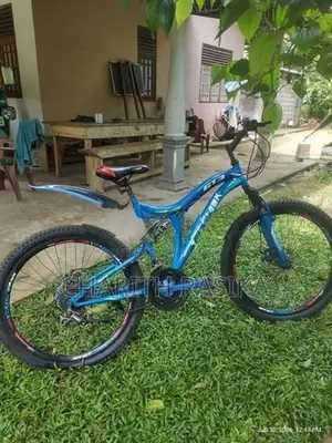 Tomahawk bicycle