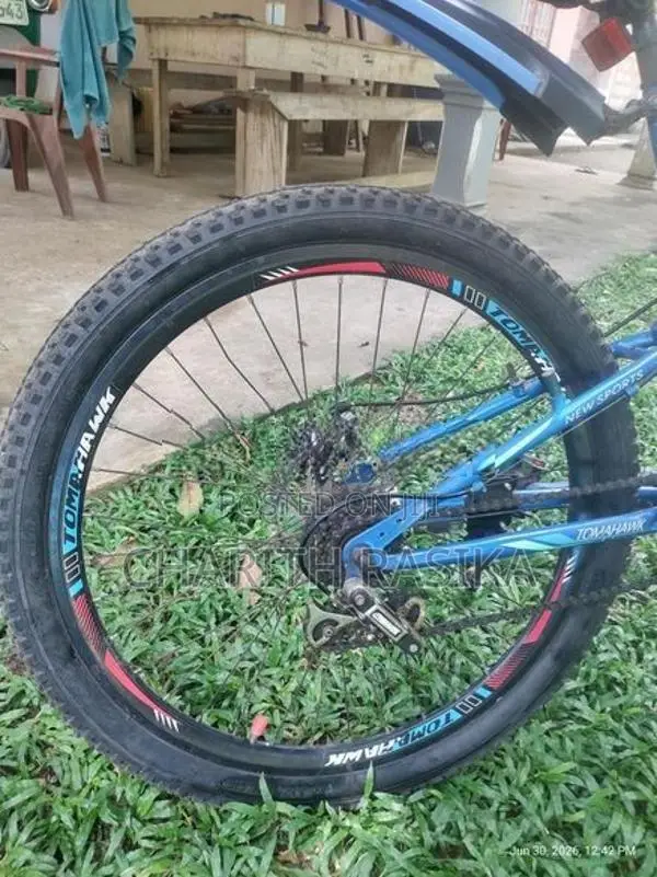 Tomahawk bicycle