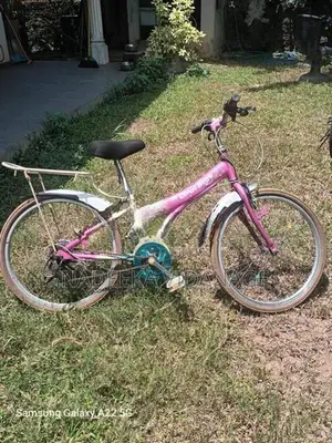Ladies Japan Bicycle