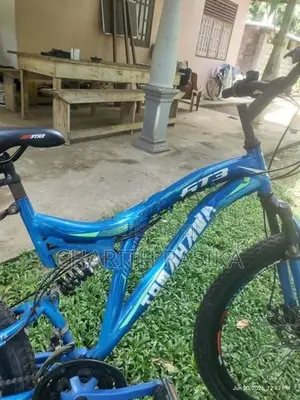 Tomahawk bicycle