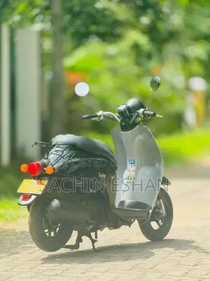 Honda Today 2024