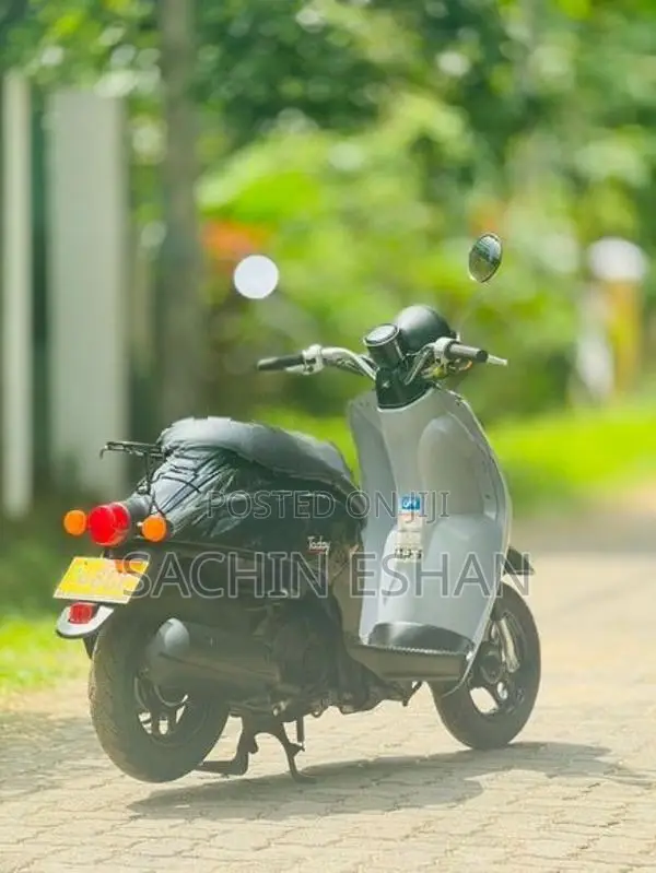 Honda Today 2024