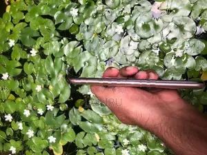 Vivo (Used)