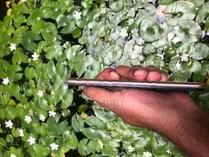 Vivo (Used)
