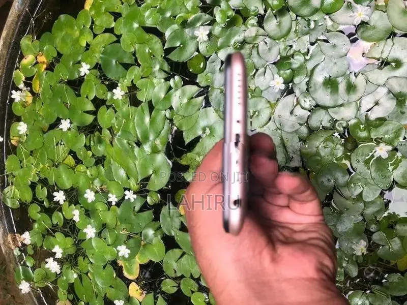 Vivo (Used)