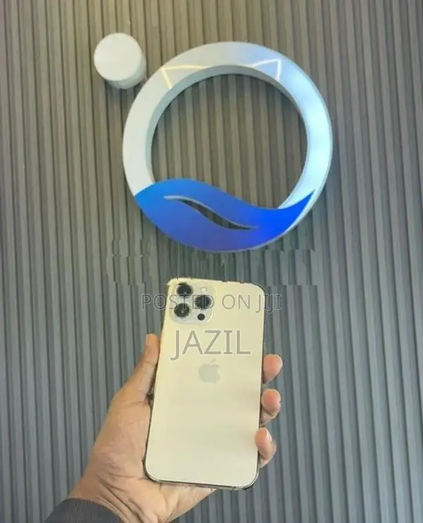Apple iPhone 12 Pro Max (Used)
