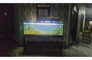5 feet fish tank with all accessories