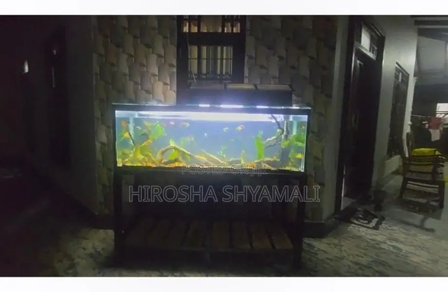 5 feet fish tank with all accessories