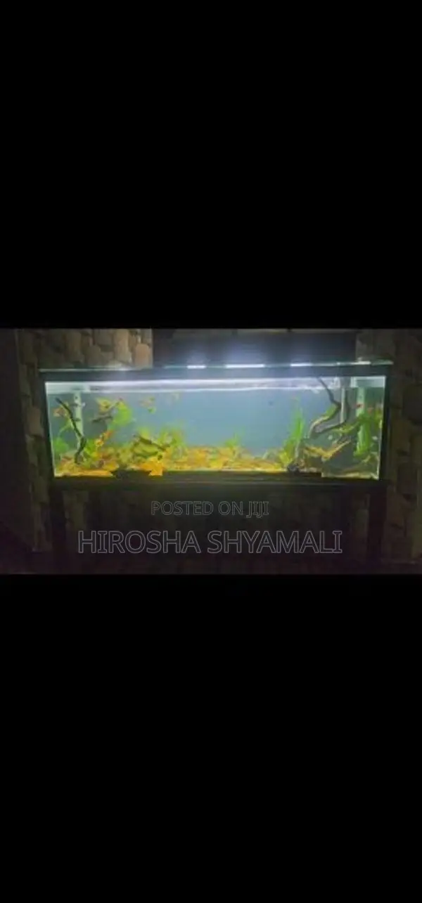 5 feet fish tank with all accessories