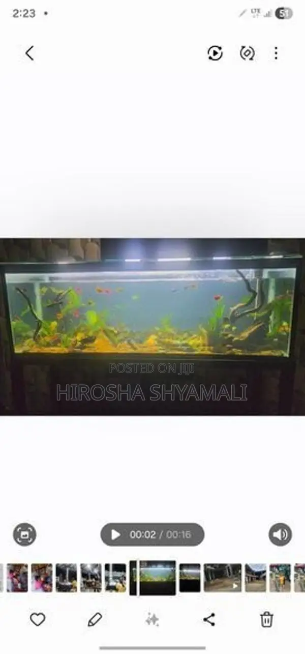 5 feet fish tank with all accessories