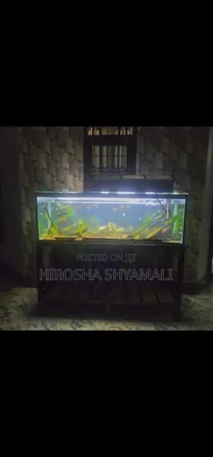 5 feet fish tank with all accessories