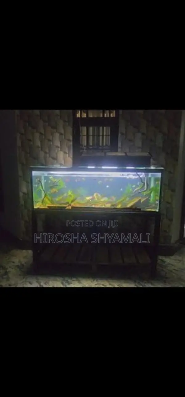 5 feet fish tank with all accessories