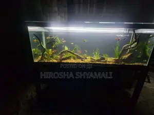 5 feet fish tank with all accessories