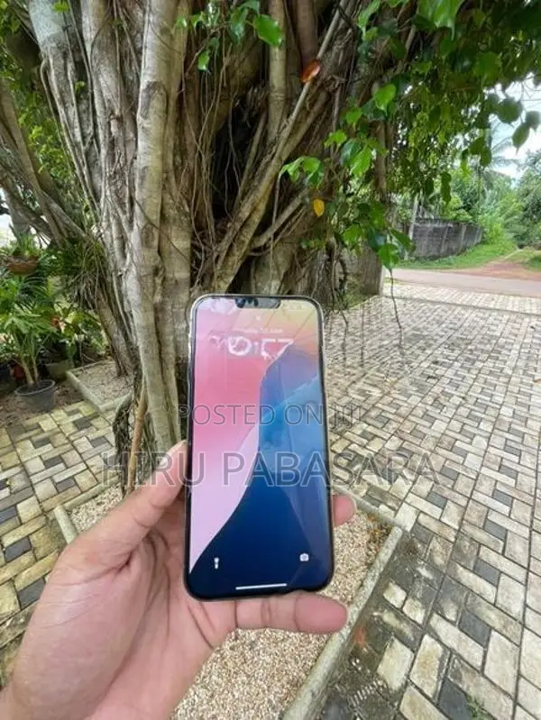 Apple iPhone 13 Pro Max 256GB (Used)