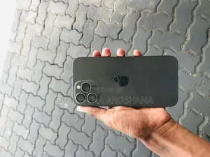 Apple iPhone 13 Pro Max (Used)