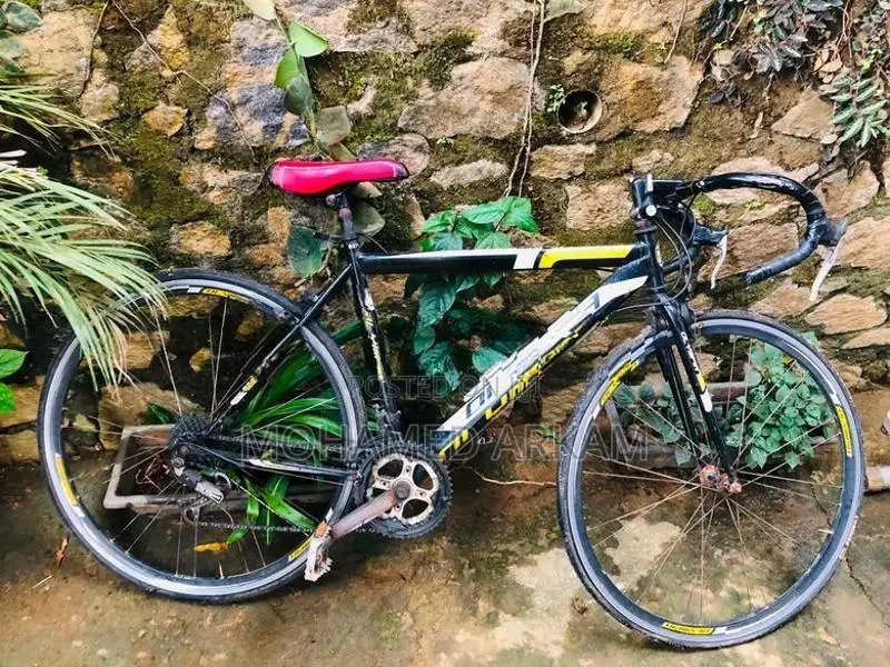 Olympia Racing Italian Series Bicycle