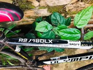 Olympia Racing Italian Series Bicycle