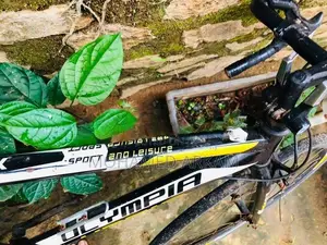 Olympia Racing Italian Series Bicycle
