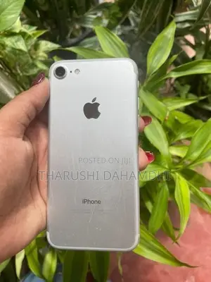 Apple iPhone 7 (Used)