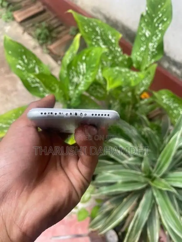 Apple iPhone 7 (Used)