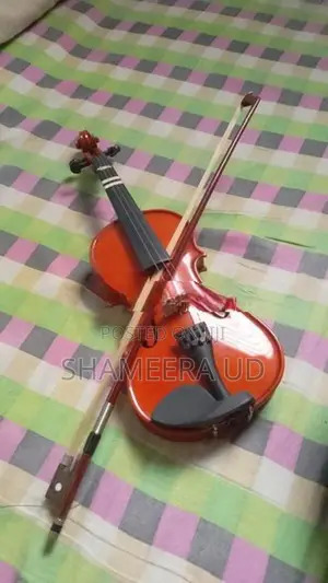 violin