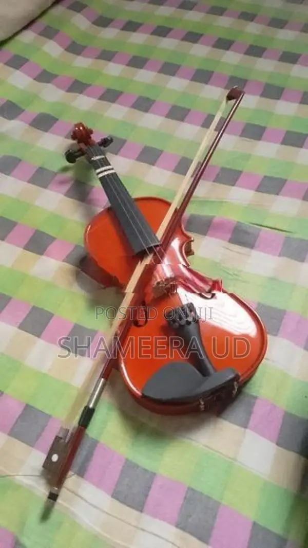 violin