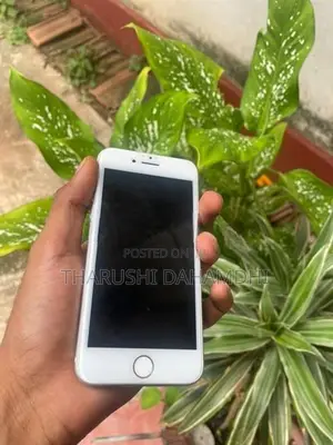Apple iPhone 7 (Used)