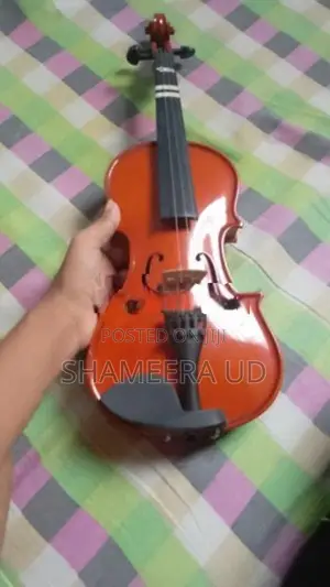 violin