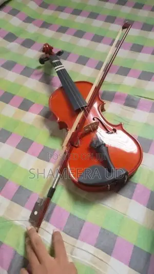 violin