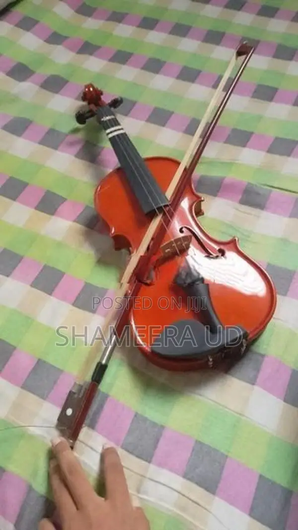 violin
