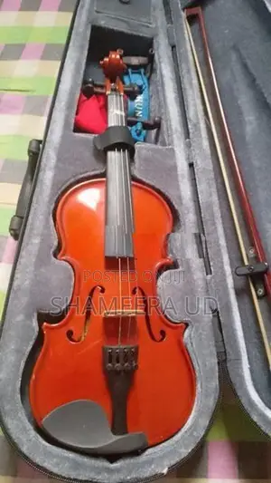violin