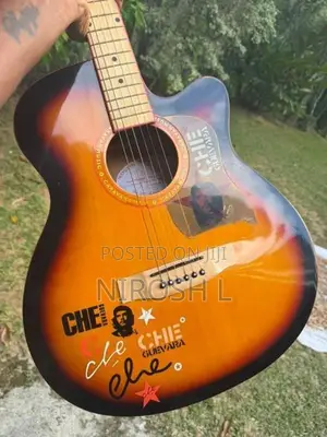 Guitar