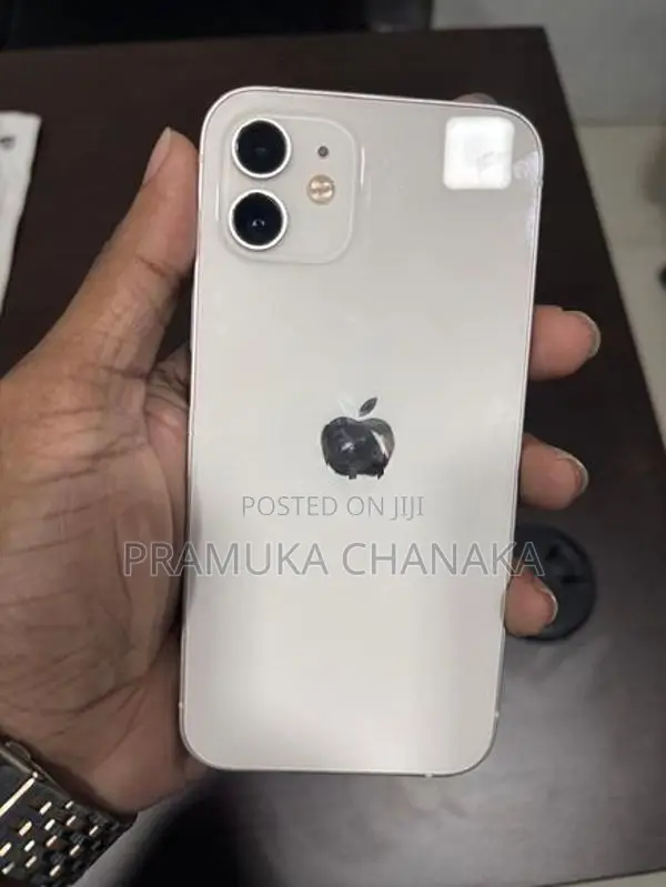 Apple iPhone 12 (Used)