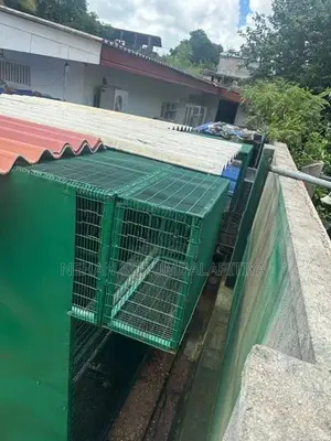 Birds Cage