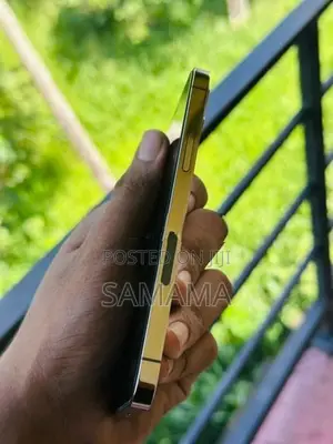 Apple iPhone 12 Pro 256GB (Used)