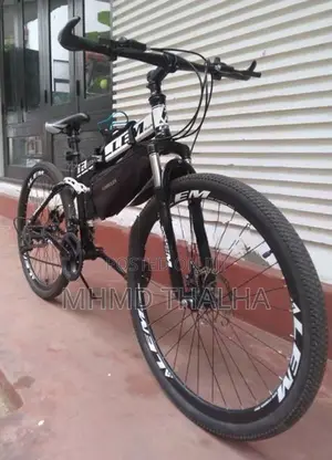 LEM Bicycle